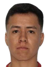 比尼斯纳勒
